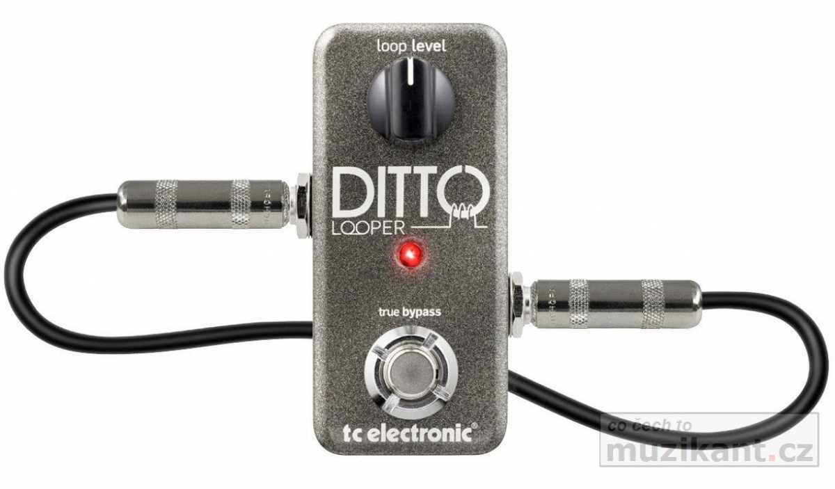 TC Electronic Ditto Looper | Delay, Echo | muzikant.cz Eshop